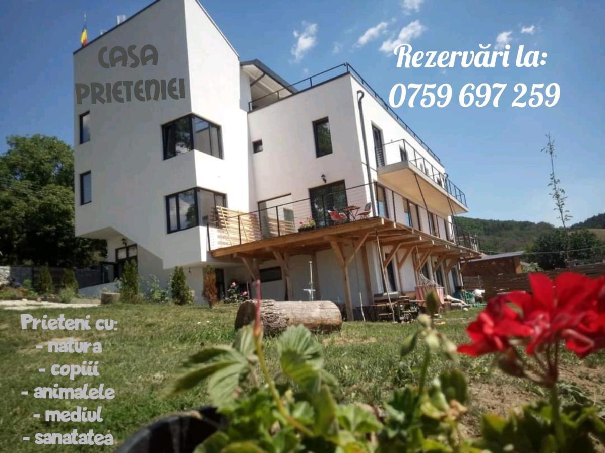 ホテル Casa Prieteniei - Cazare Piatra Neamţ エクステリア 写真