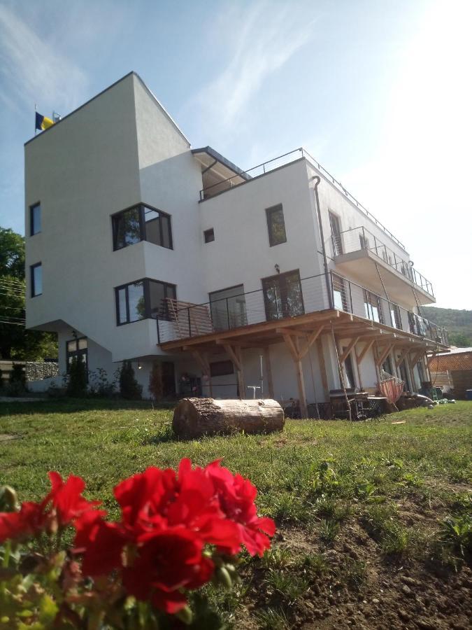 ホテル Casa Prieteniei - Cazare Piatra Neamţ エクステリア 写真