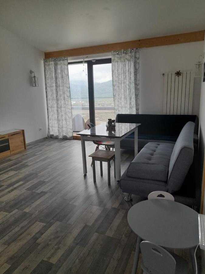 ホテル Casa Prieteniei - Cazare Piatra Neamţ エクステリア 写真